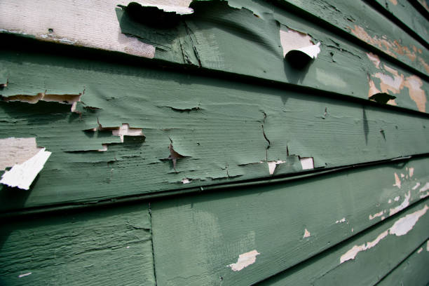 Best Residential Vinyl Siding Installation  in Ten Mile Run, NJ