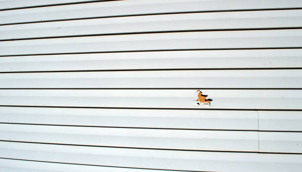 Best Custom Trim and Detailing for Siding  in Ten Mile Run, NJ